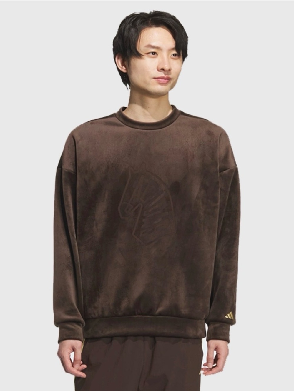 Hong Kong regional exclusive unisex brown velour sweatshirt (top only)